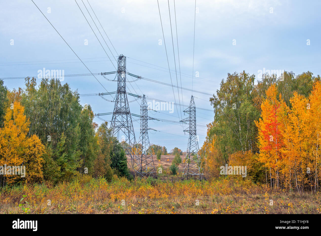 High voltage power lines in autumn forest Stock Photo - Alamy