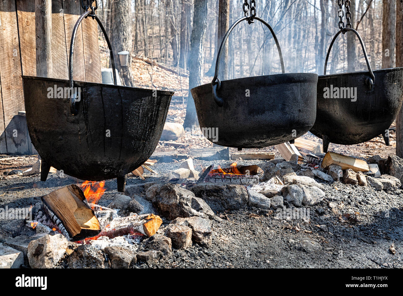 Boiling maple syrup sap on wood fire in sugar bush Ontario Canada Stock Photo
