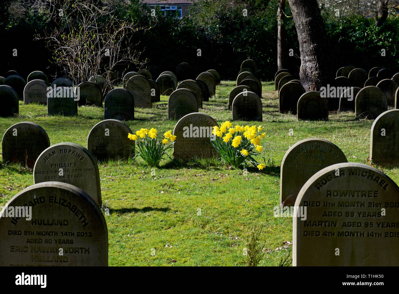 Quaker Burial ground Stock Photo Alamy