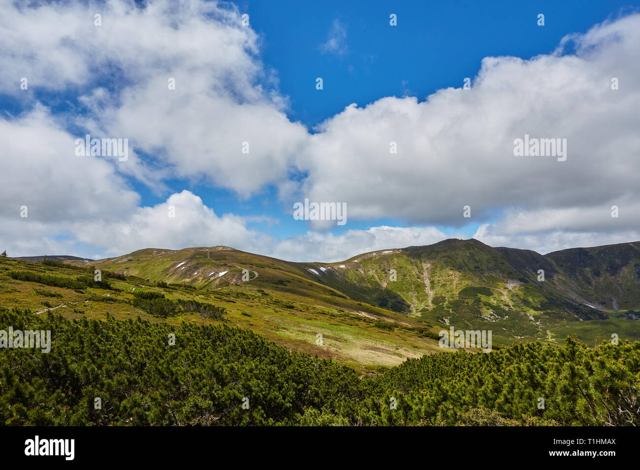 Summer landscape in mountains and the dark blue sky with clouds Stock ...