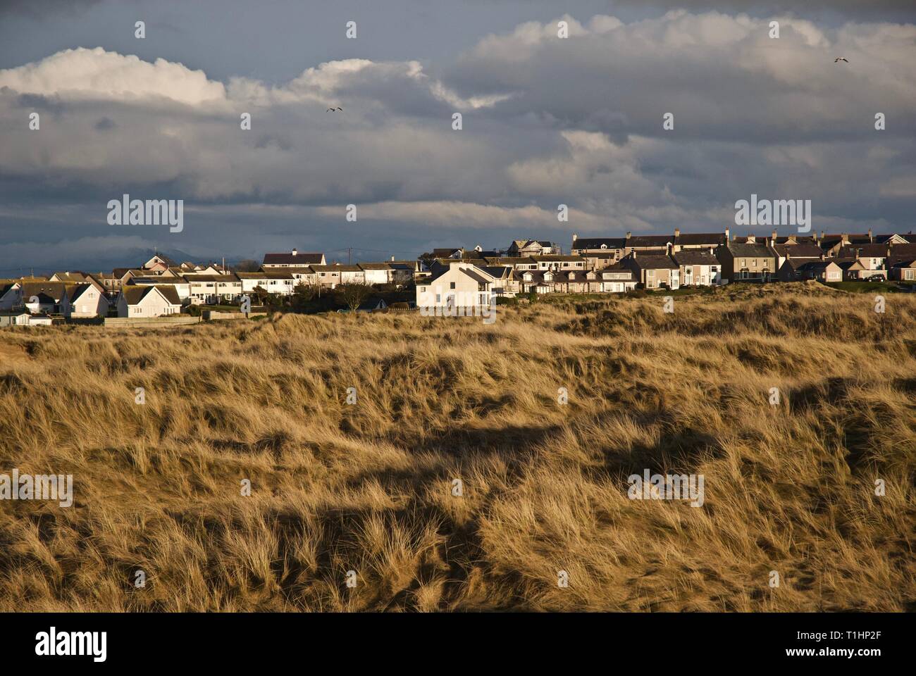 Village properties viewed from across the dunes of Trewan Common