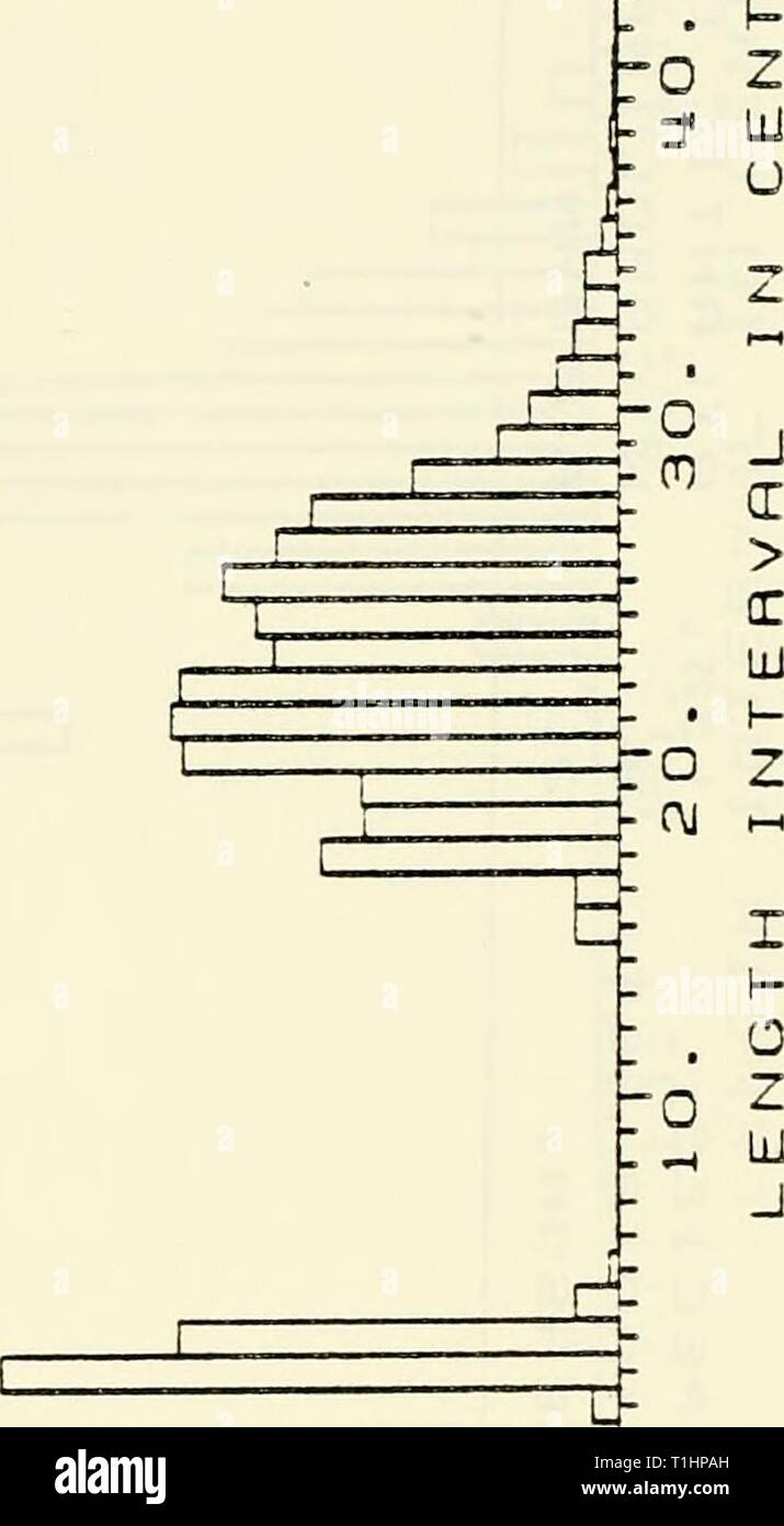 Page 3 Lil C High Resolution Stock Photography And Images Alamy