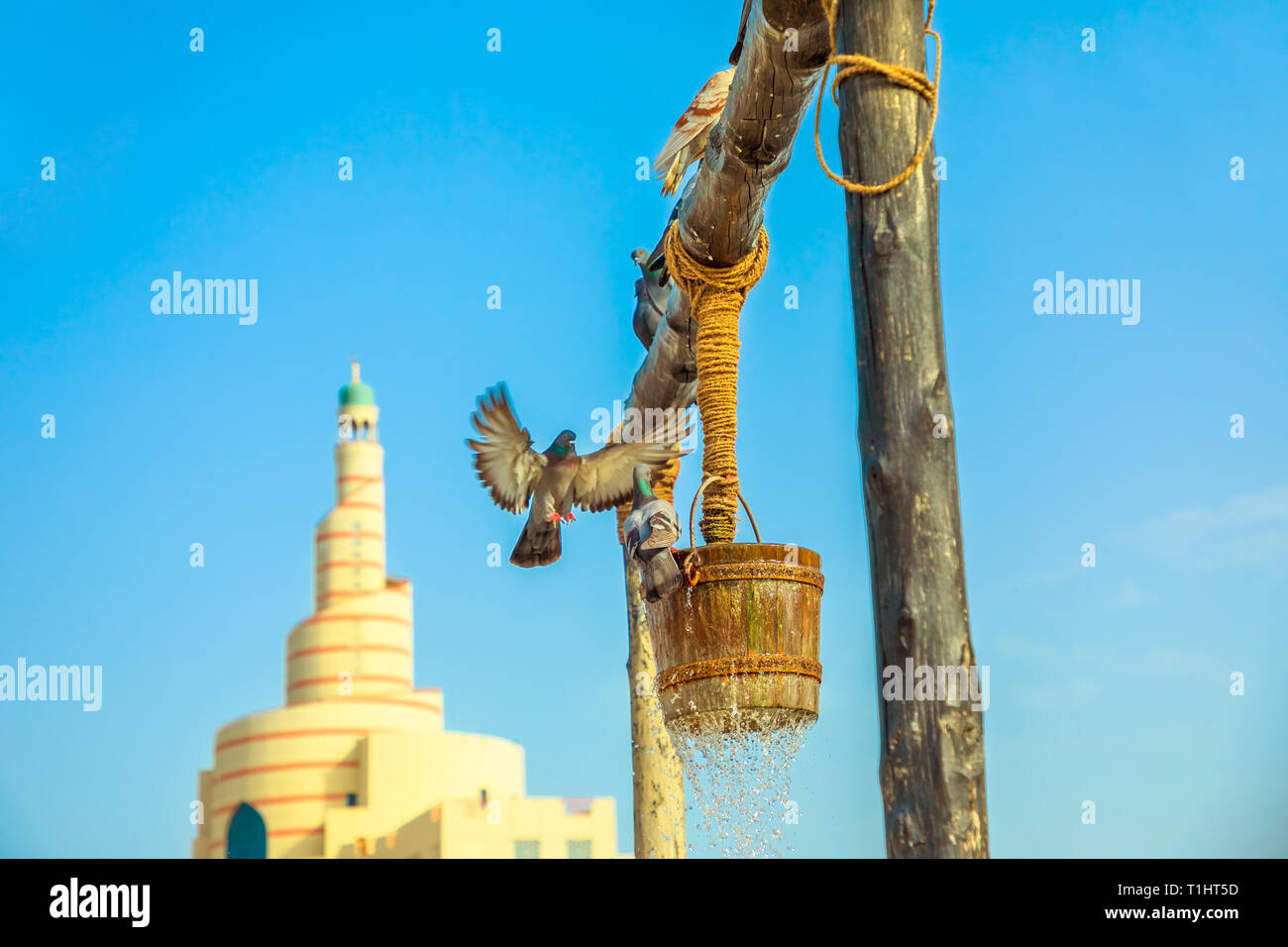 Pigeon flying at old well fountain, famous tourist place in the middle of Souq Waqif in front of mosque and minaret in Doha center, Qatar. Middle East Stock Photo