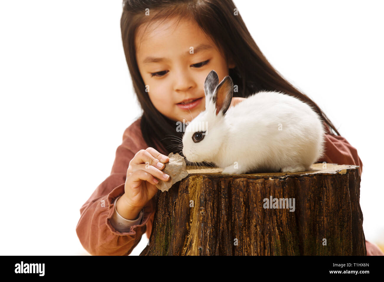 The little girl and little rabbit Stock Photo - Alamy