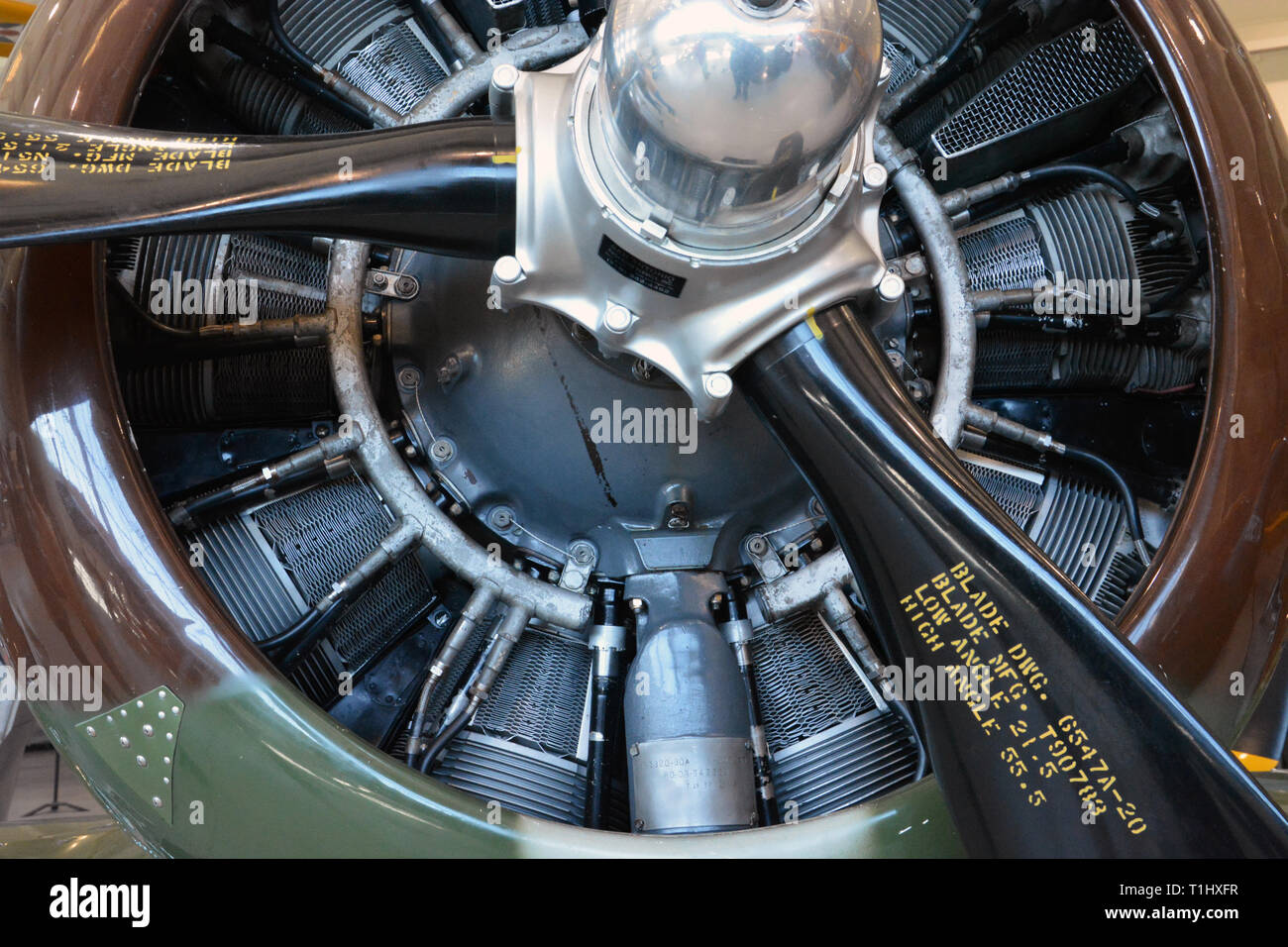 Close up of the rotary engine on a WWII era North American P64 fighter