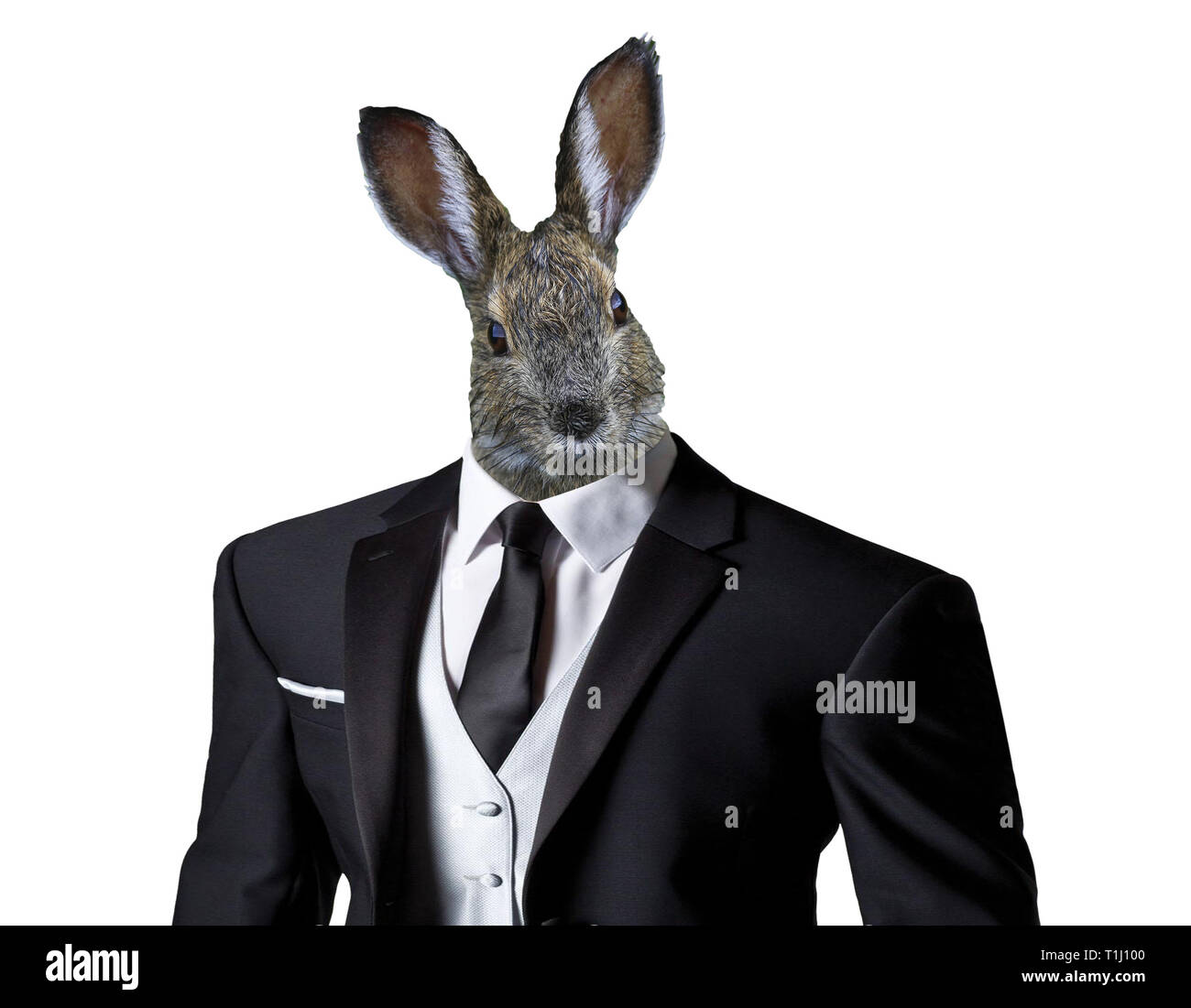 funny easter bunny wearing a business suit, isolated on a white background,  easter celebration concept Stock Photo - Alamy