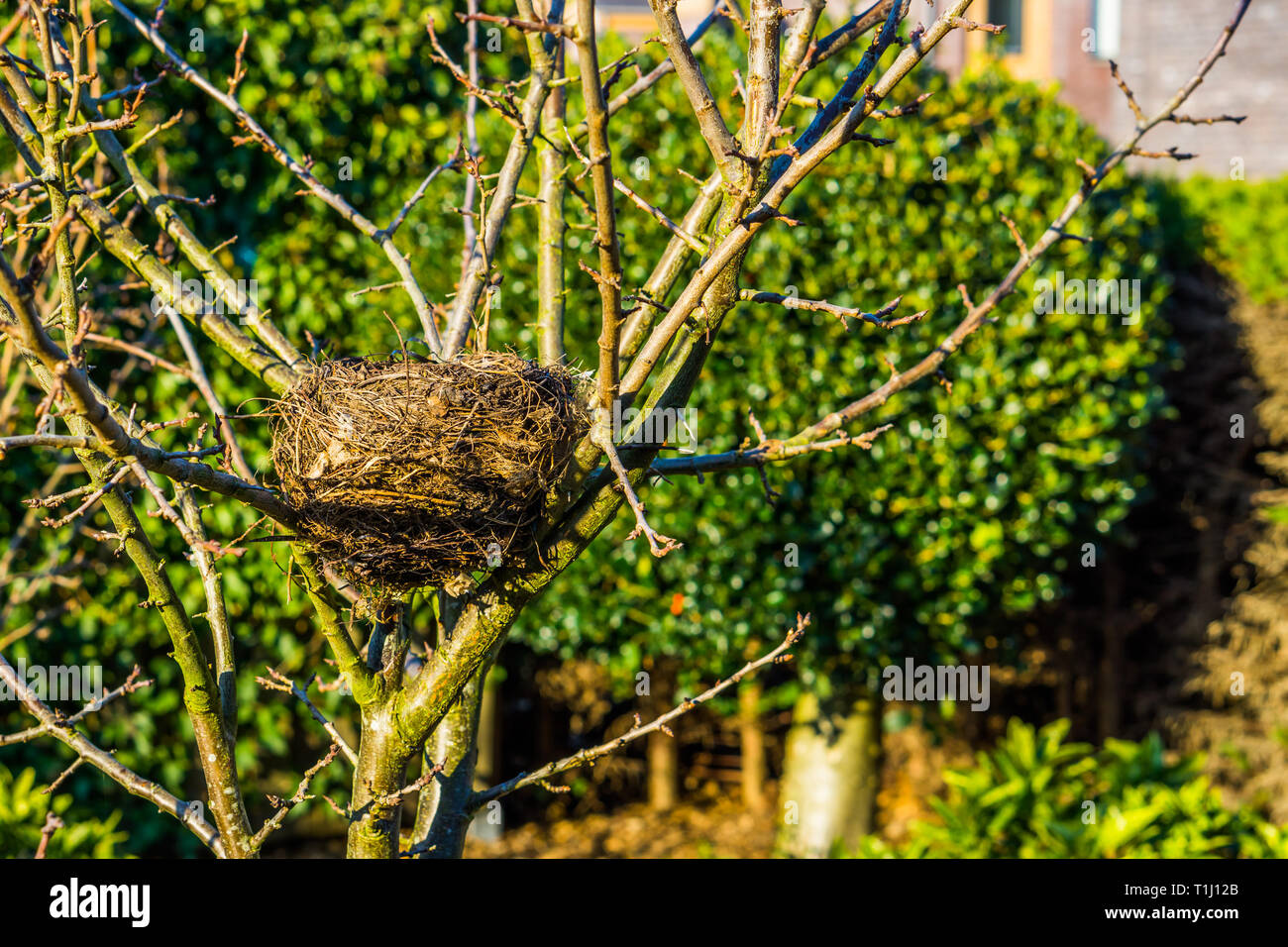 Nature animal homes hi-res stock photography and images - Alamy
