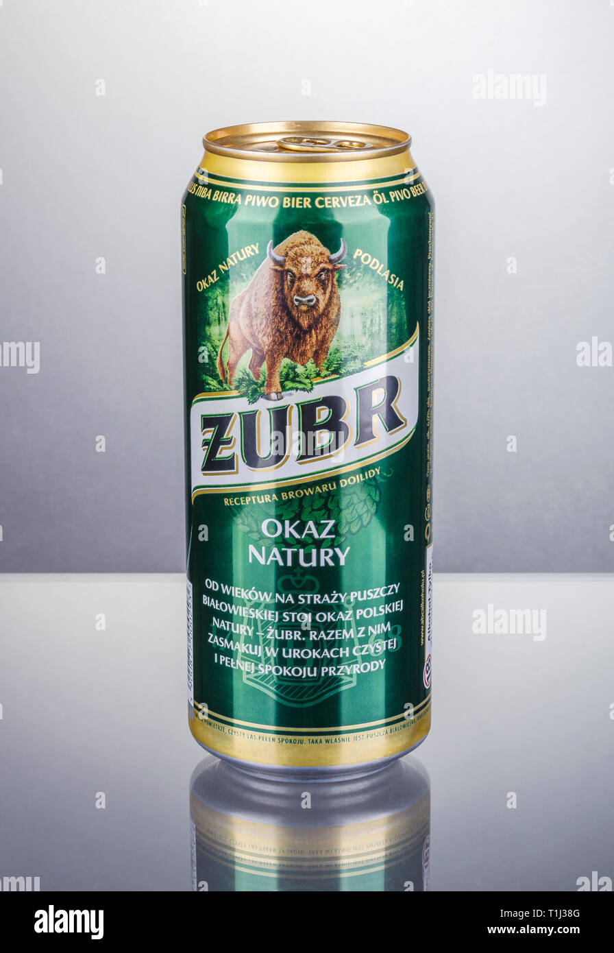 Zubr lager beer isolated on gradient background. Stock Photo