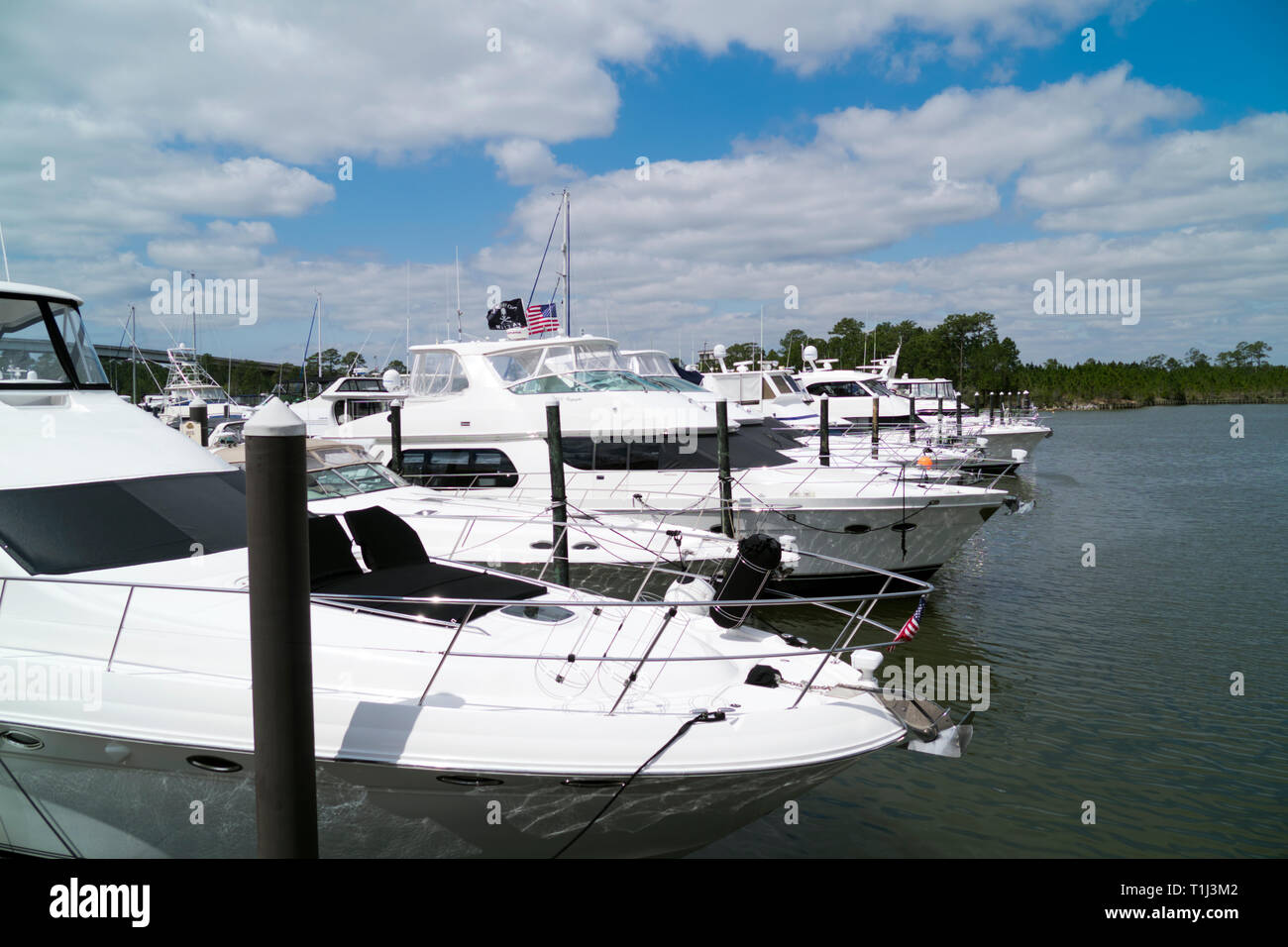Expensive upscale yachts at dock along the pier at The Wharf Marina in Orange Beach, Alabama, USA. Stock Photo