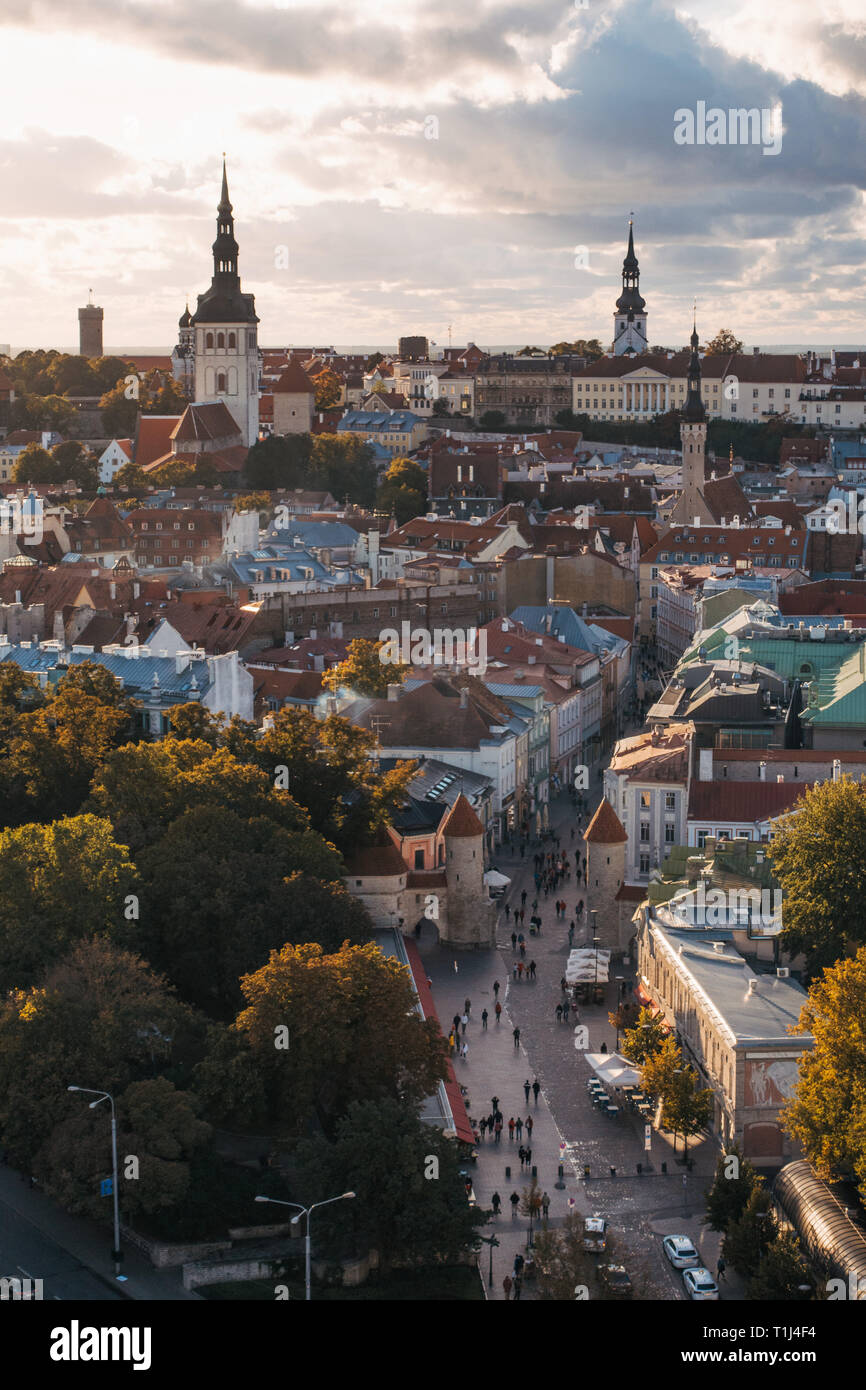 An view over the historical old town of Tallinn, Estonia, during an autumn sunset Stock Photo