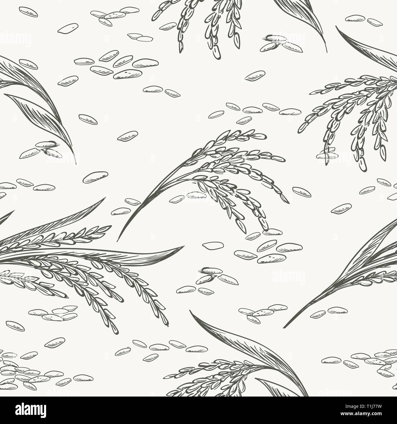 Rice drawing pattern. Rice graphic seamless texture, cereals ears and grain doodle sketch background vector illustration Stock Vector