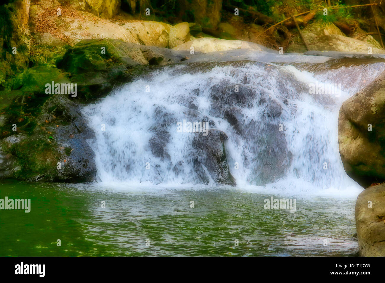 This Unique Photo Shows The Wild Jungle Waterfall And - 