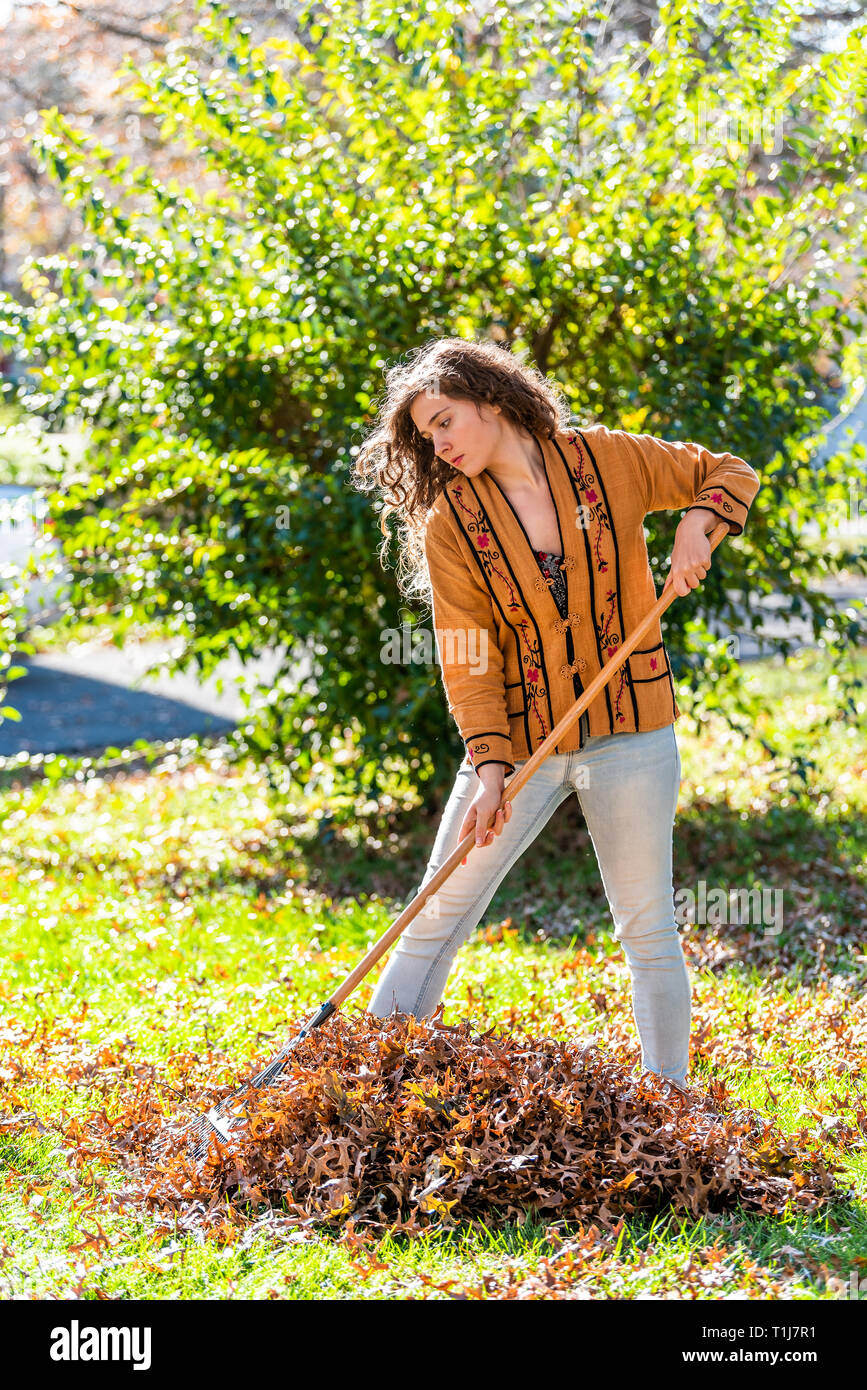 Young woman homeowner in garden yard backyard raking collecting of dry autumn foliage oak leaves standing with rake in sunny fall Stock Photo