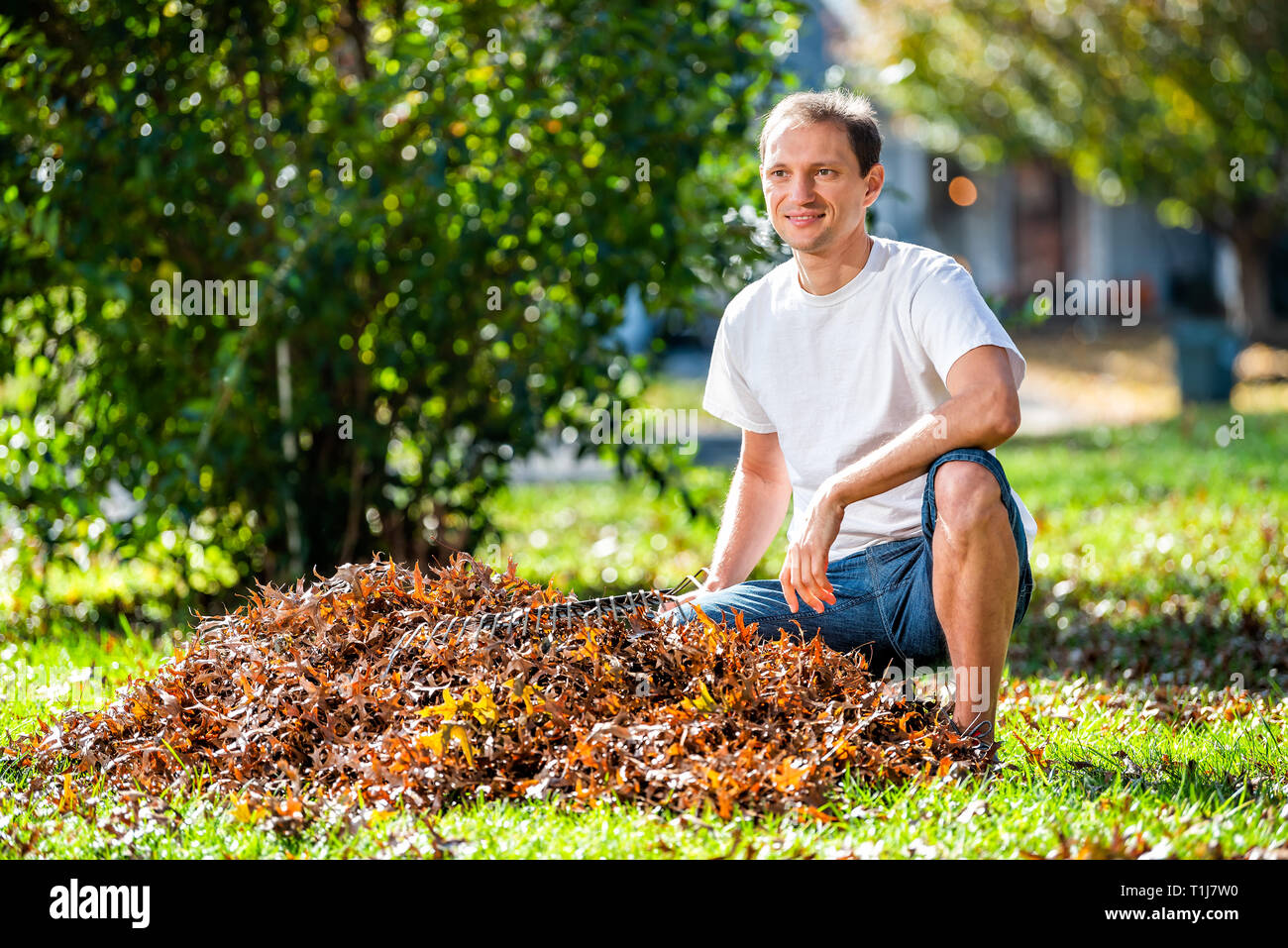 Young man homeowner sitting in garden yard backyard raking dry autumn foliage oak leaves squatting with rake in sunny fall Stock Photo