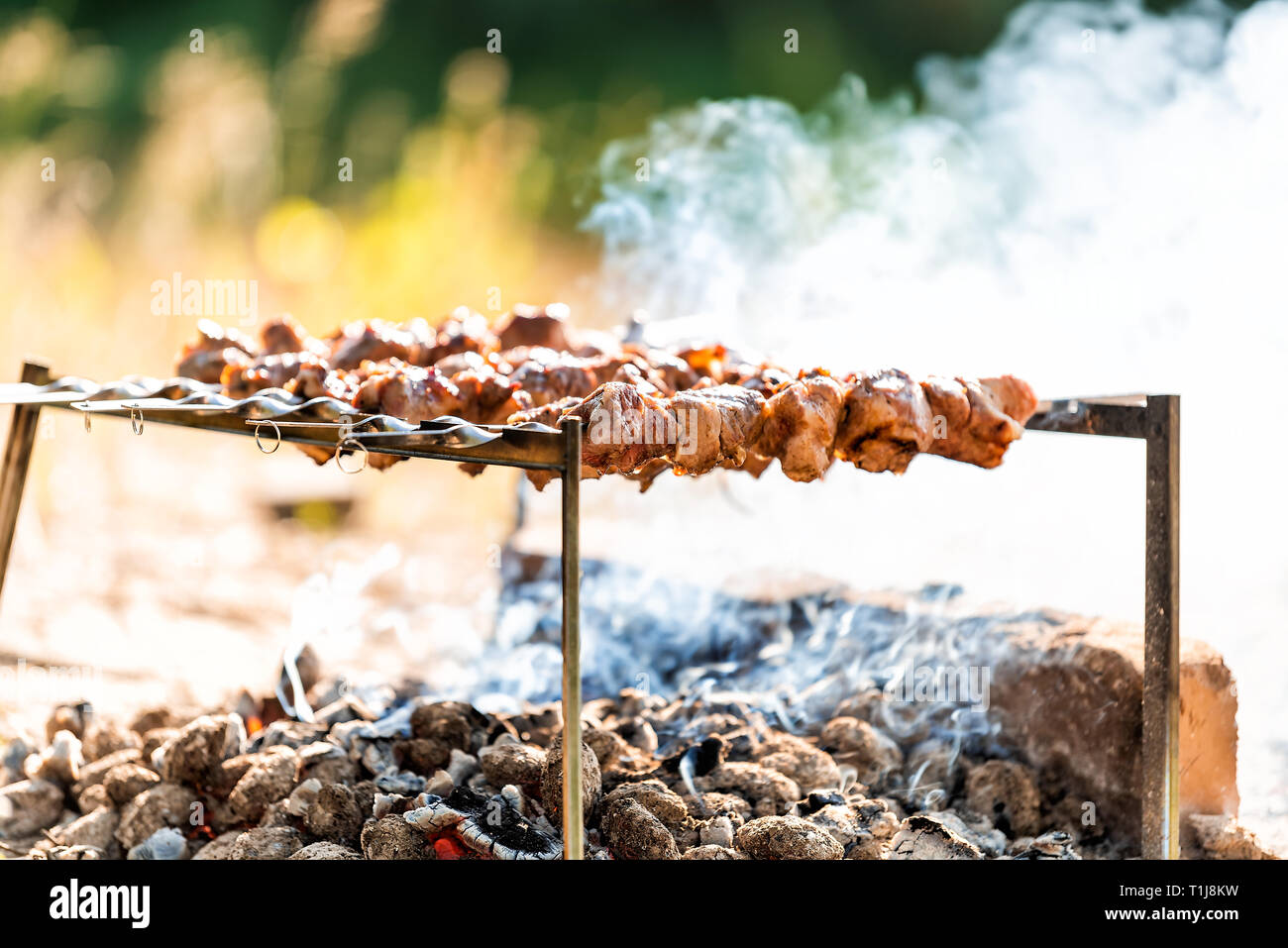 Grilling meat shashlik shish kebab skewers on barbeque bbq grill in outdoor  summer park in Ukraine or Russia nature sunny day, smoke Stock Photo - Alamy