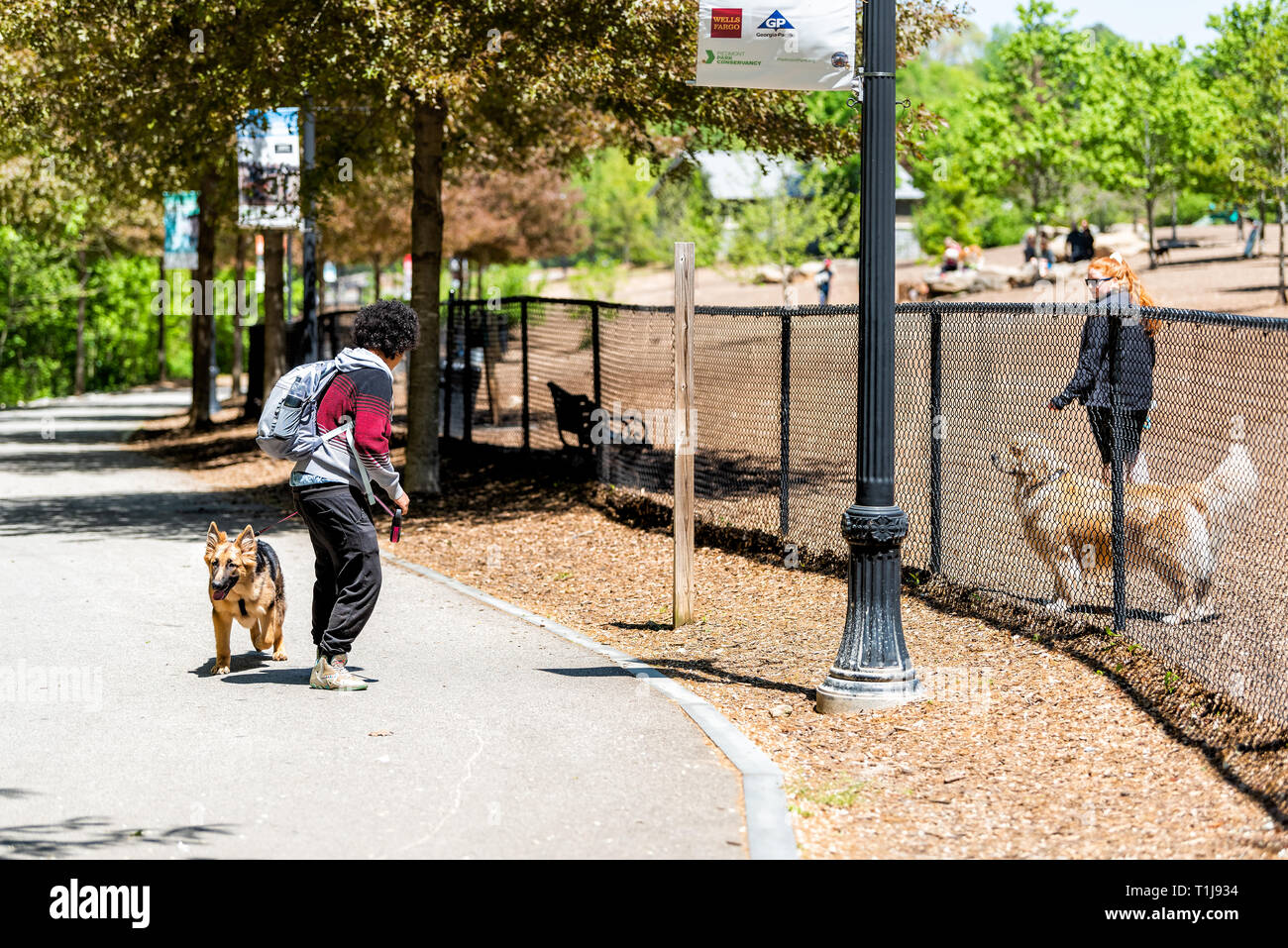 Man walking german shepherd dog hires stock photography and images Alamy