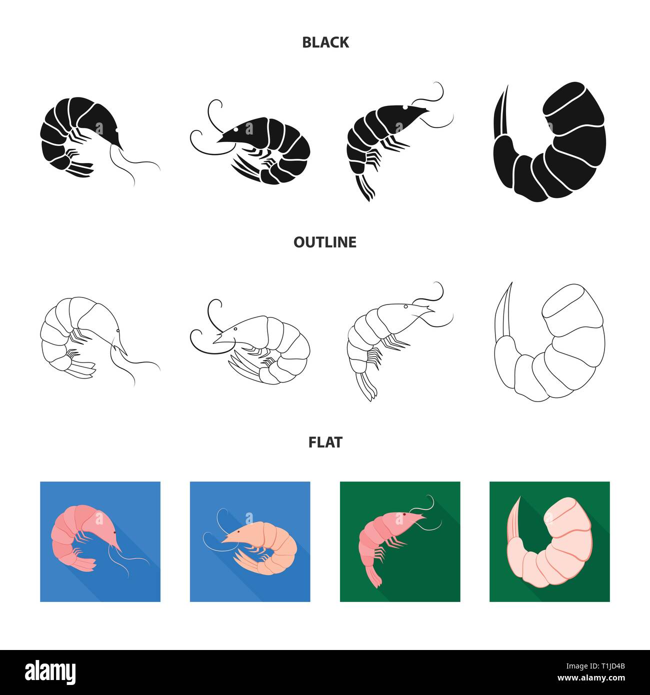 prawn,creature,raw,boiled,fresh,cooked,luxury,restaurant,underwater ...