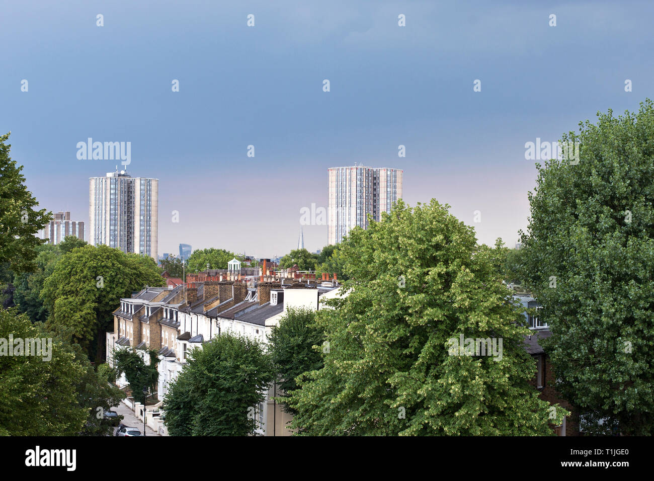 Rooftops over Belsize Park and Swiss cottage with views of Bray and