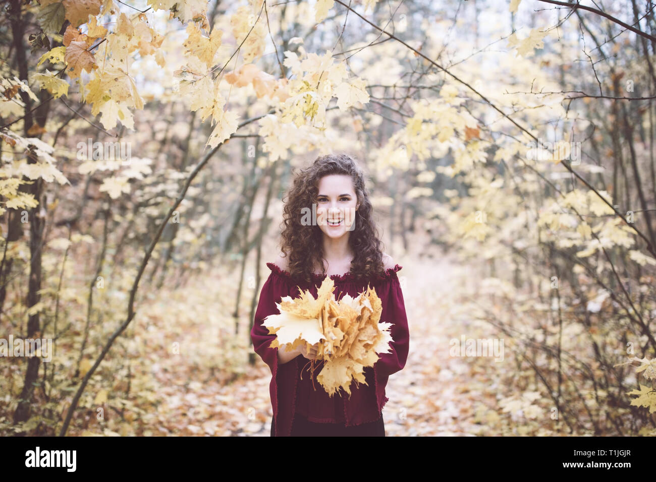 Beautiful girl with curly dark hair in a maroon top in an autumn park holding maple leaves and smiling Stock Photo