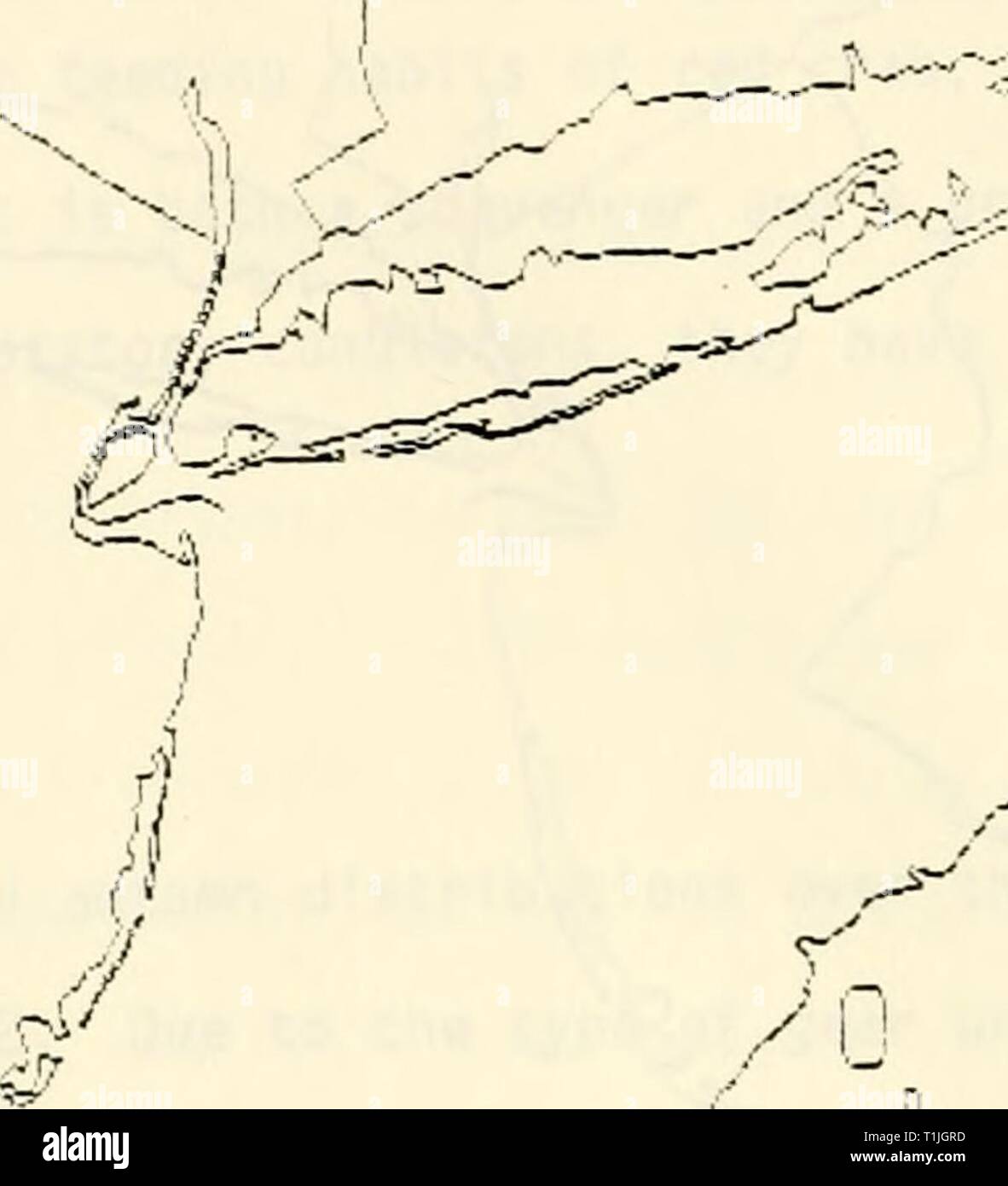 Page 3 7 3 4 X L High Resolution Stock Photography And Images Alamy