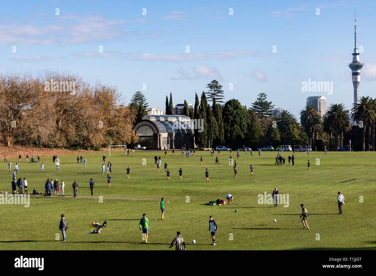 Auckland, New Zealand. Weekend sports at the domain Stock Photo