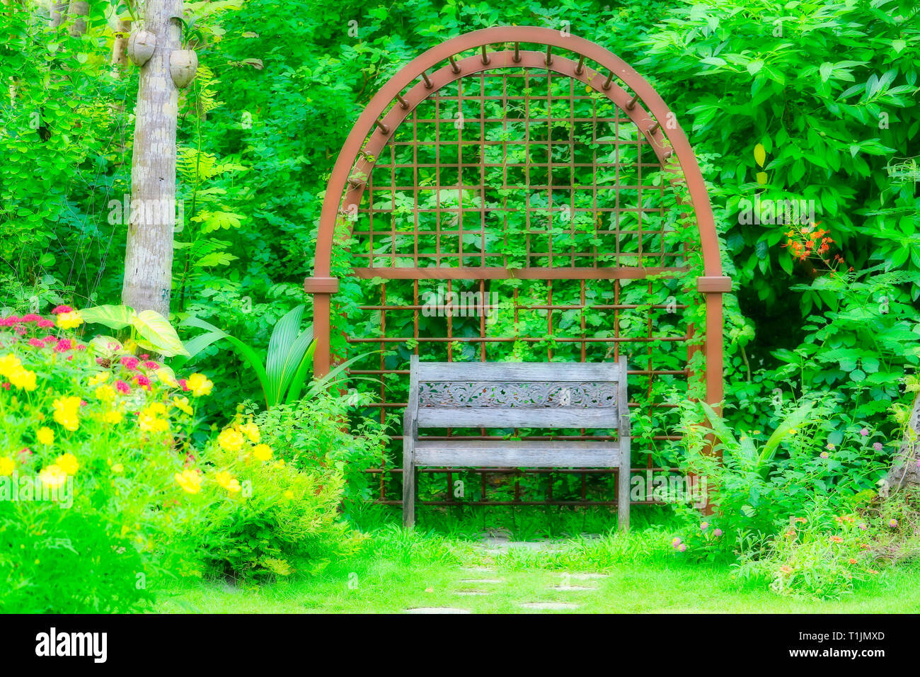 This unique picture shows a fairytale garden with an old park bench. This picture was taken in the Maldives Stock Photo