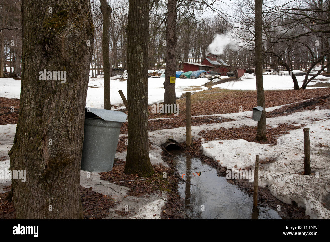 Derby vermont hires stock photography and images Alamy