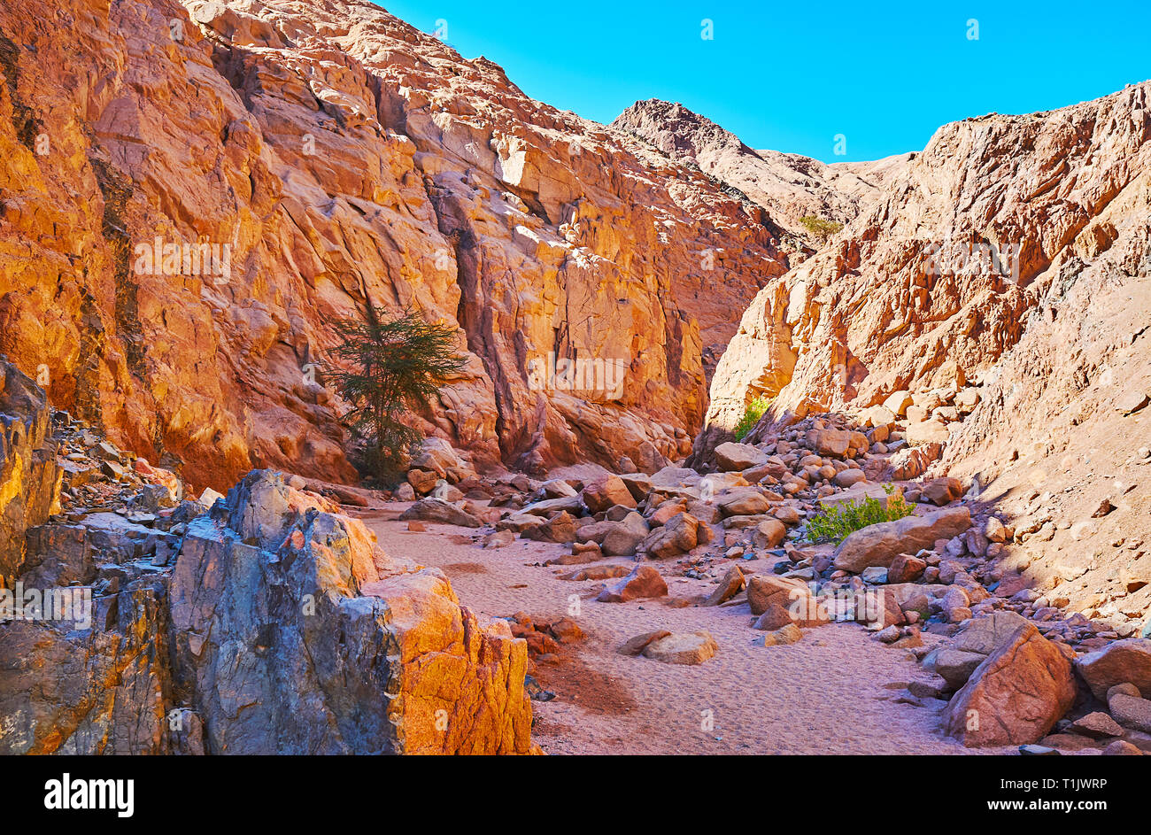 The hikes to different canyons of Sinai are very popular among the