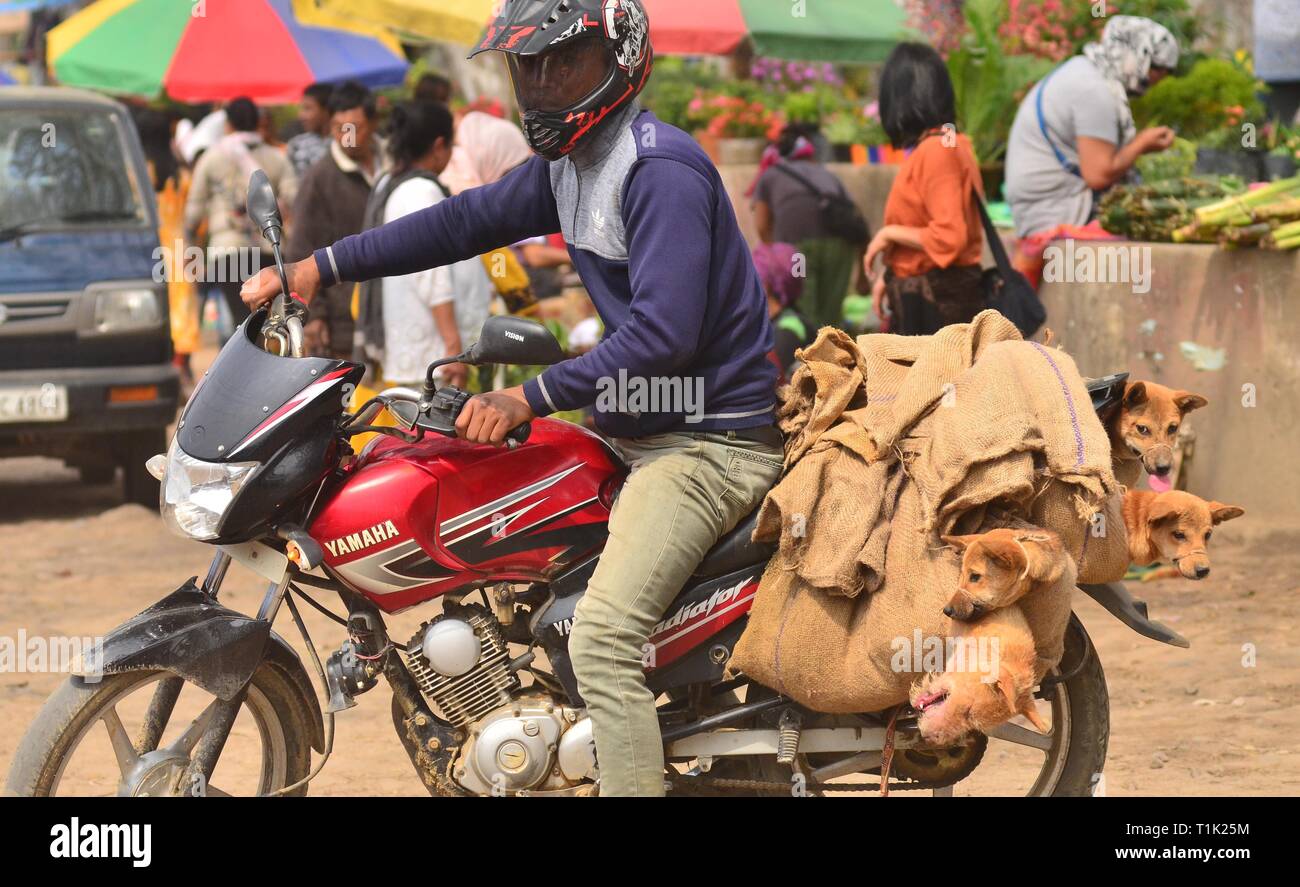 Dimapur meat hires stock photography and images Alamy