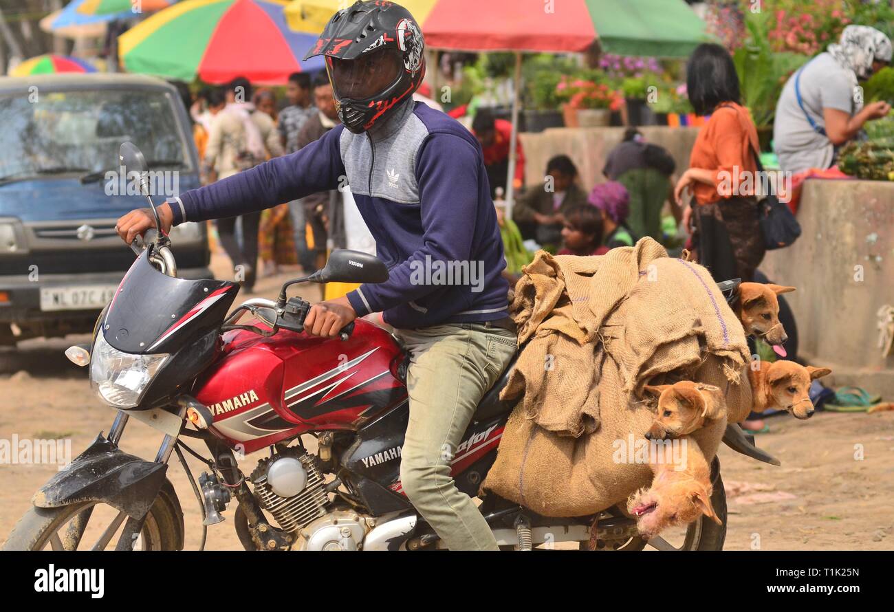 Dimapur meat hires stock photography and images Alamy