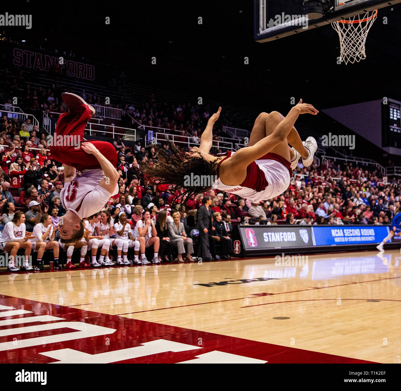 Stanford CA USA 25th Mar 2019 A Stanford Cardinal Cheerleaders Stanford ca usa 25th mar 2019 a stanford cardinal cheerleaders