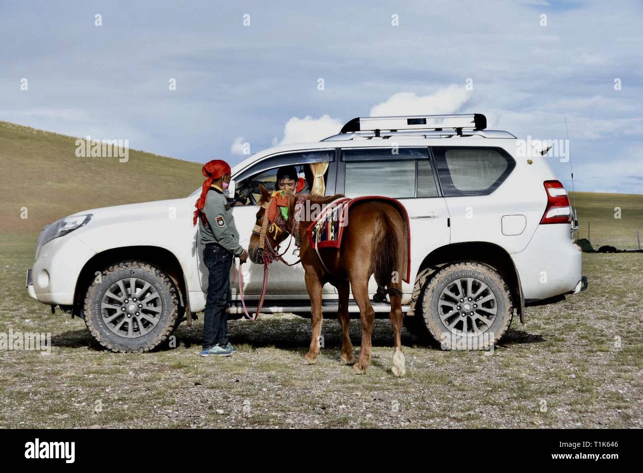Southwest Auto Credit >> Beijing China 18th Feb 2018 A Horse Is Seen Beside A Car Southwest Auto Credit >> Beijing China 18th Feb 2018 A Horse Is Seen Beside A Car