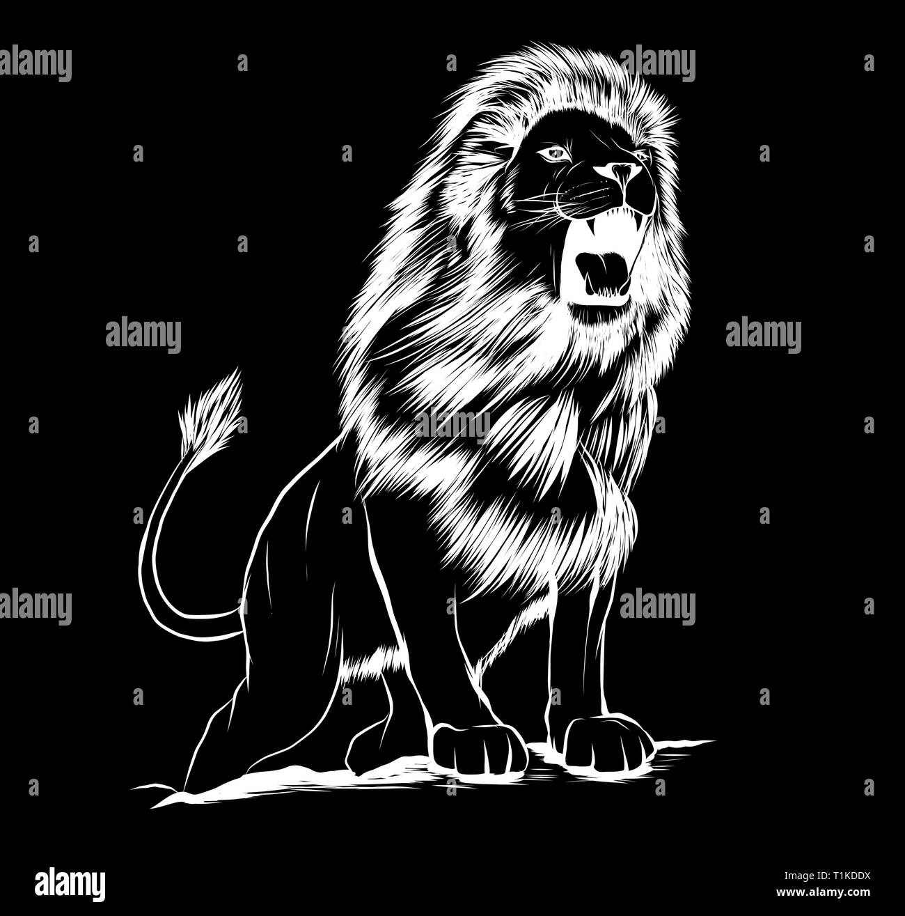 Lion with black background hi-res stock photography and images - Alamy