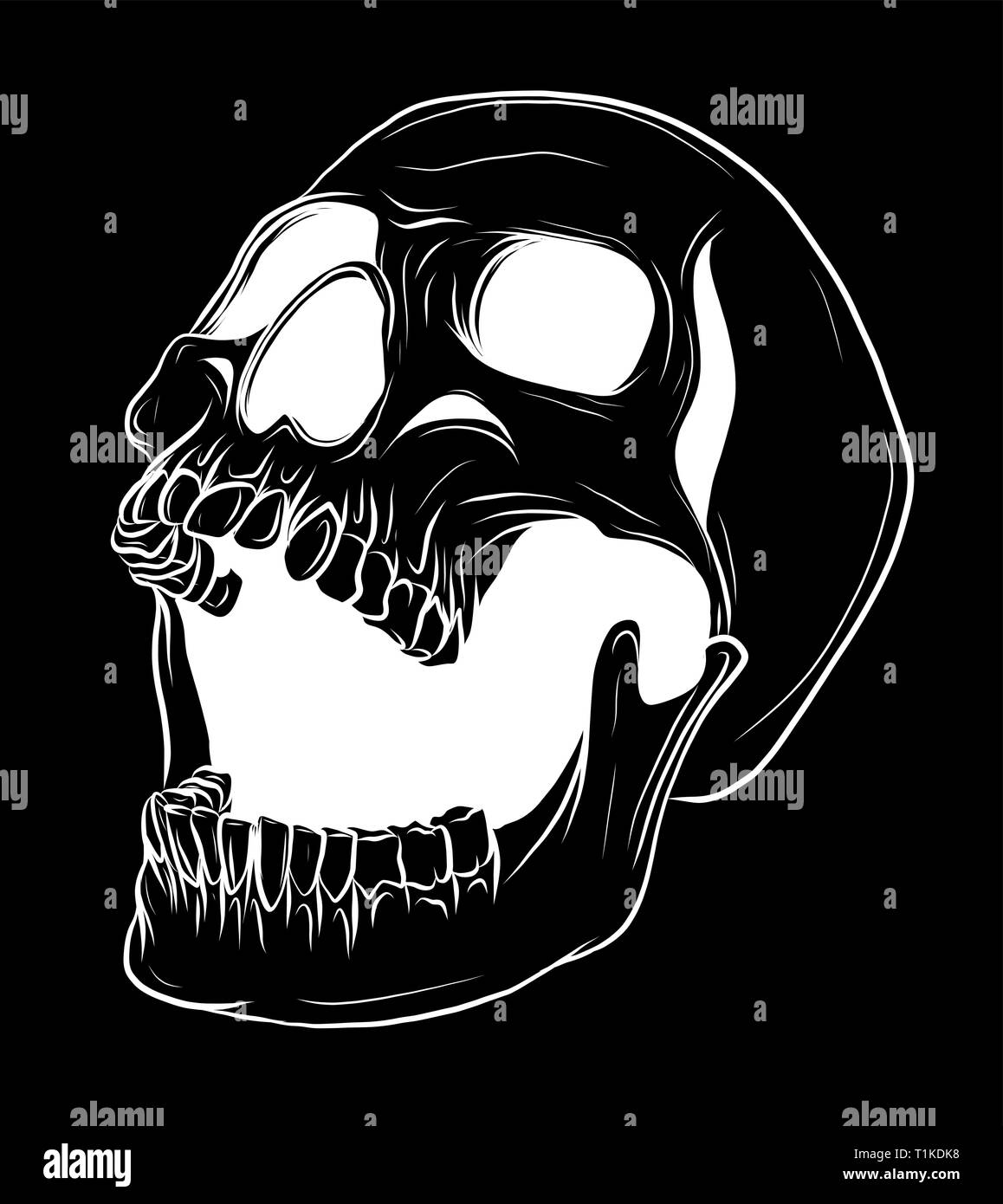 Skull Vector illustration, Collection Of Hand Drawn Skulls, Hard Core Skull Vector Art Stock Vector