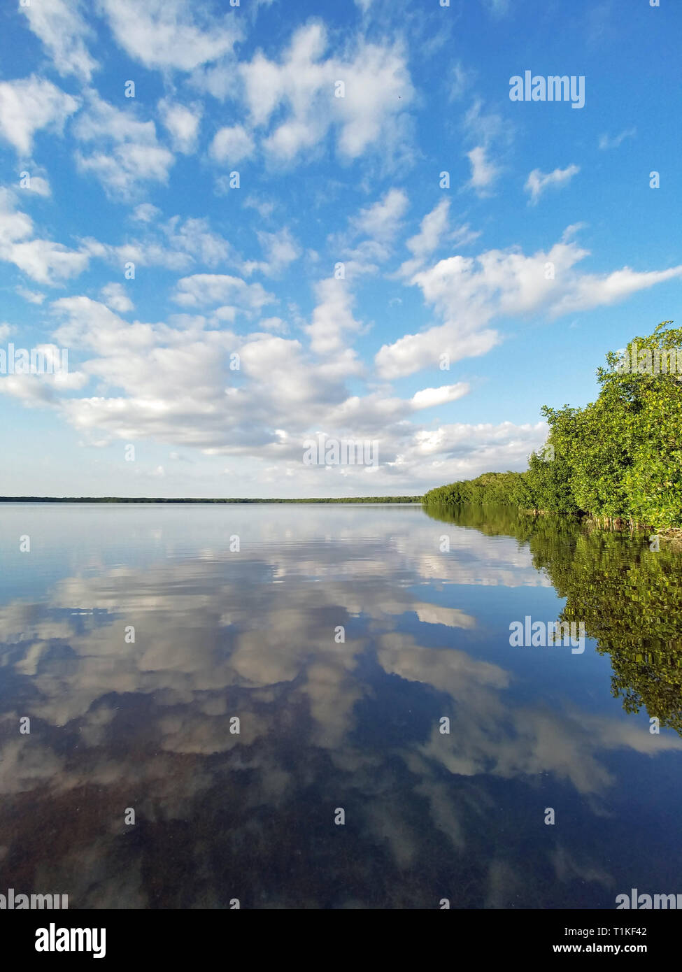 Winter cloudscape reflected on the still water of Coot Bay in Everglades National Park, Florida. Stock Photo