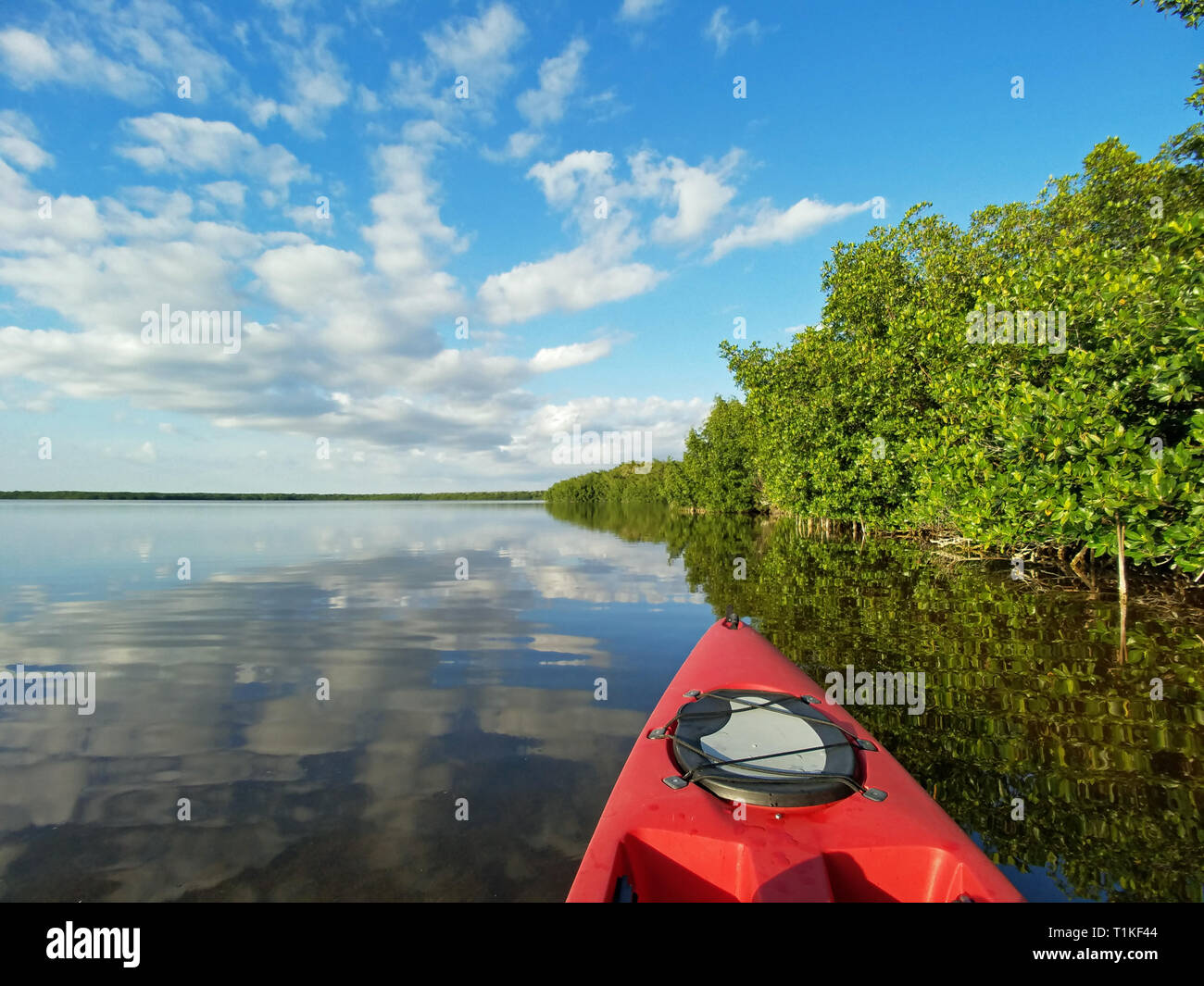 Red kayak on Coot Bay amidst mangroves and reflected clouds in