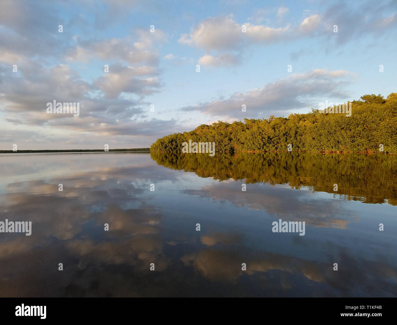 Winter cloudscape reflected on the still water of Coot Bay in Everglades National Park, Florida. Stock Photo