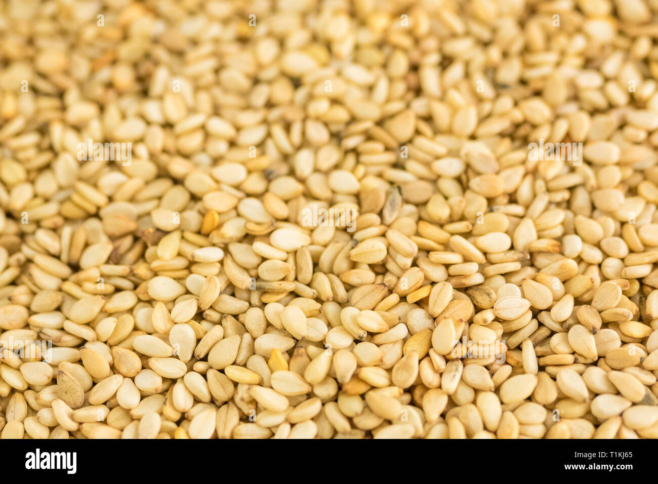 Close photo of Sesame seeds, background made of sesame seeds Stock ...