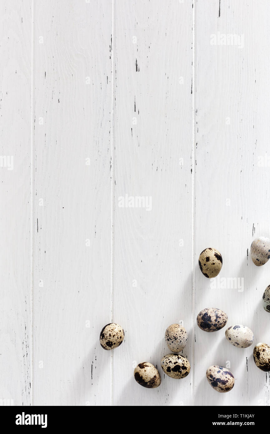 Creative Top view flat lay holiday composition Easter quail eggs on ...