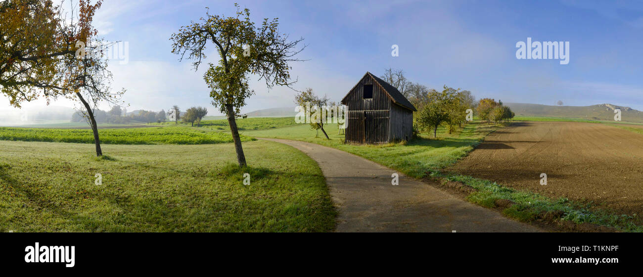 GERMANY, BADEN WUERTTEMBERG, footpath through fields and orchards passing a wooden shed Stock Photo