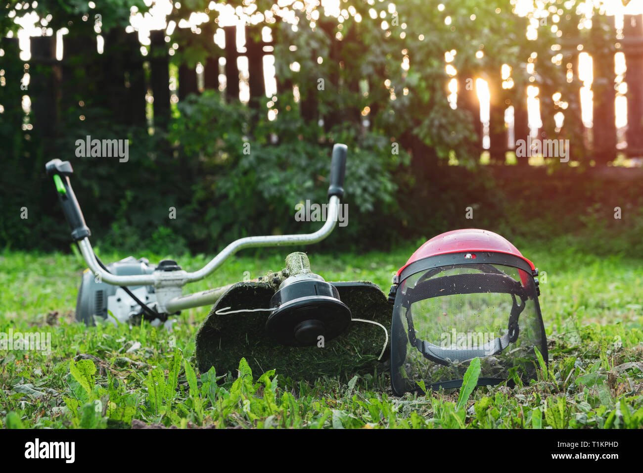 Grass trimmer on lawn in garden outdoors. Stock Photo