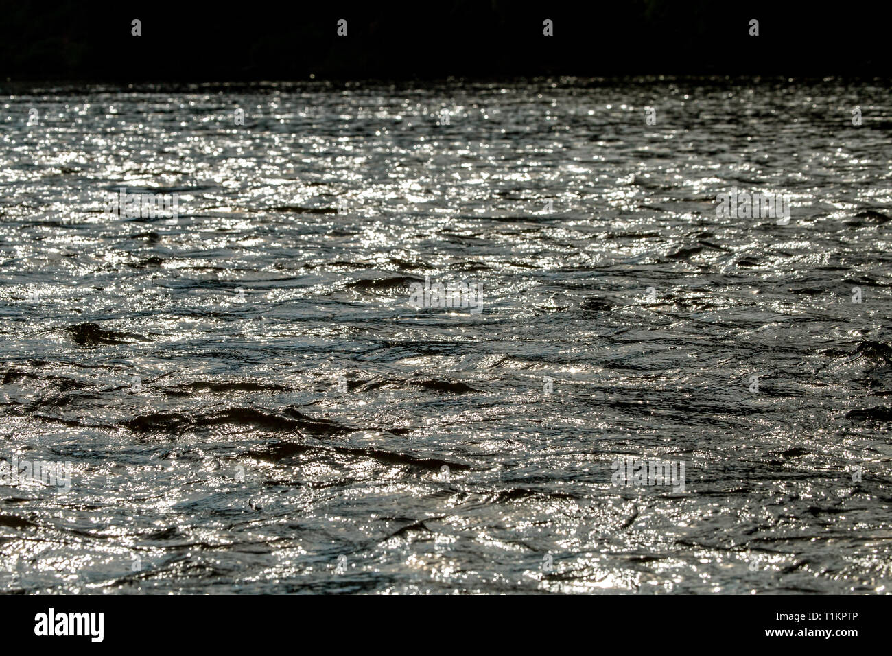 River color and reflections offshore in shallow water in Latvia as background. The Gauja is the longest river in Latvia, which is located only in the  Stock Photo