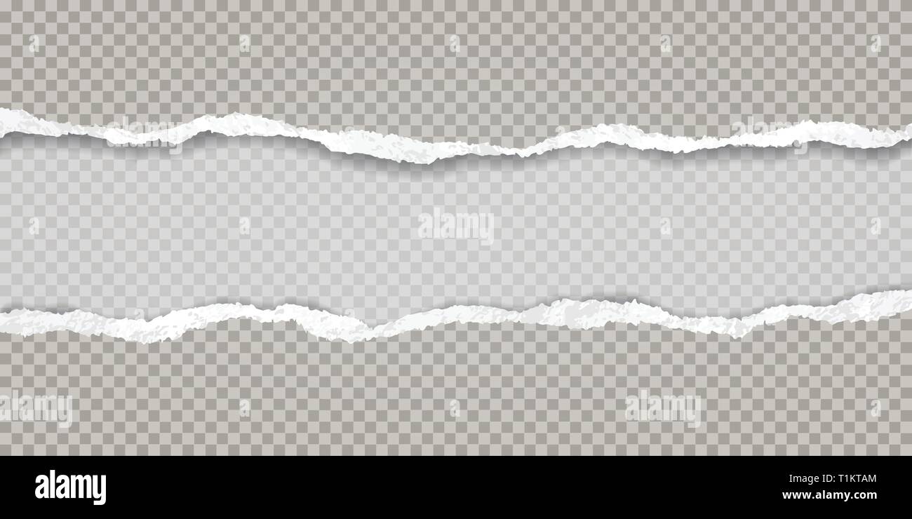Torn squared grey horizontal paper strips with space for text. Vector illustration background Stock Vector