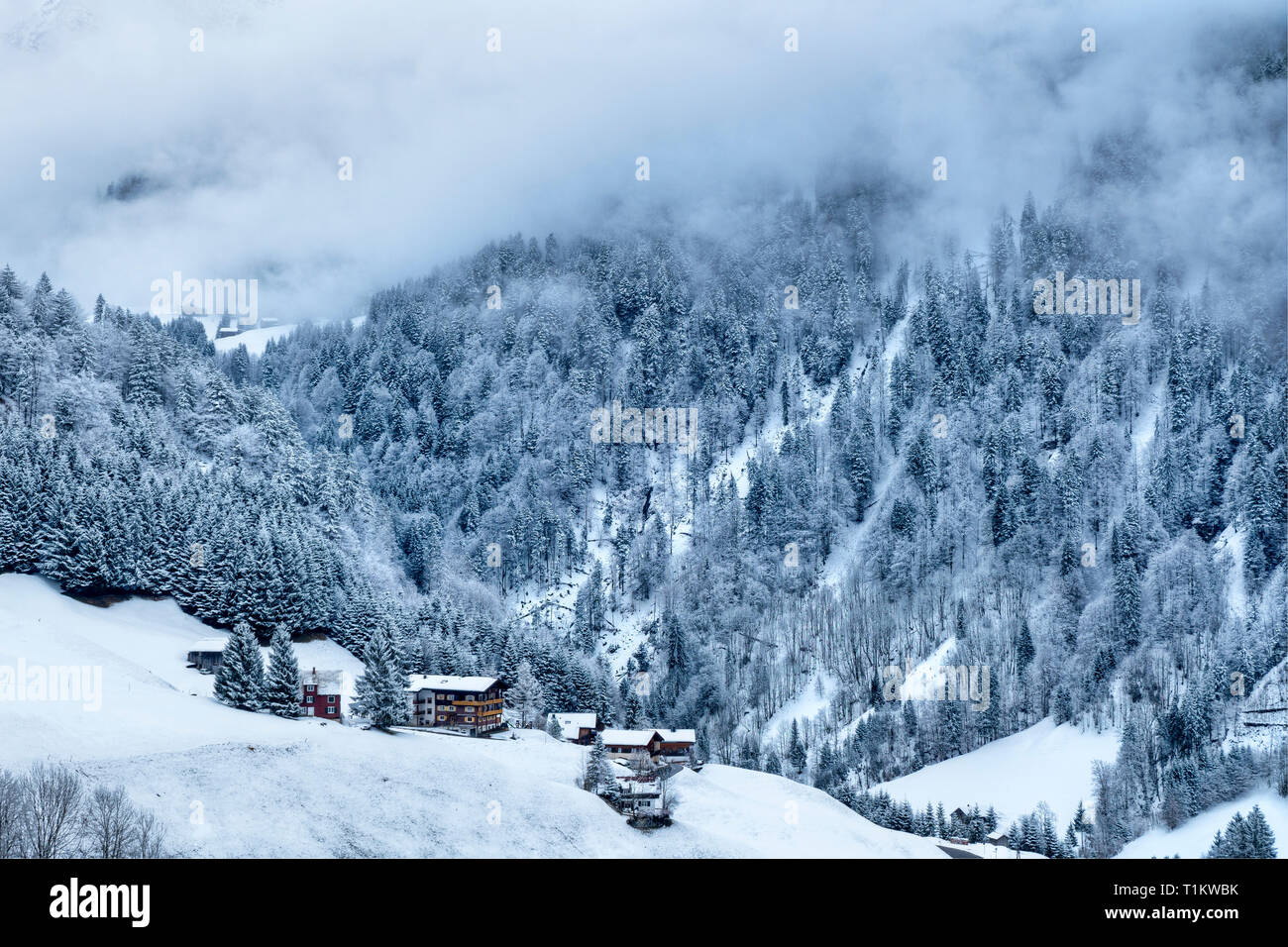 Austria, Biosphere Park Grosses Walsertal, Sonntag, chalets and mountain huts, the valley covered with snow Stock Photo