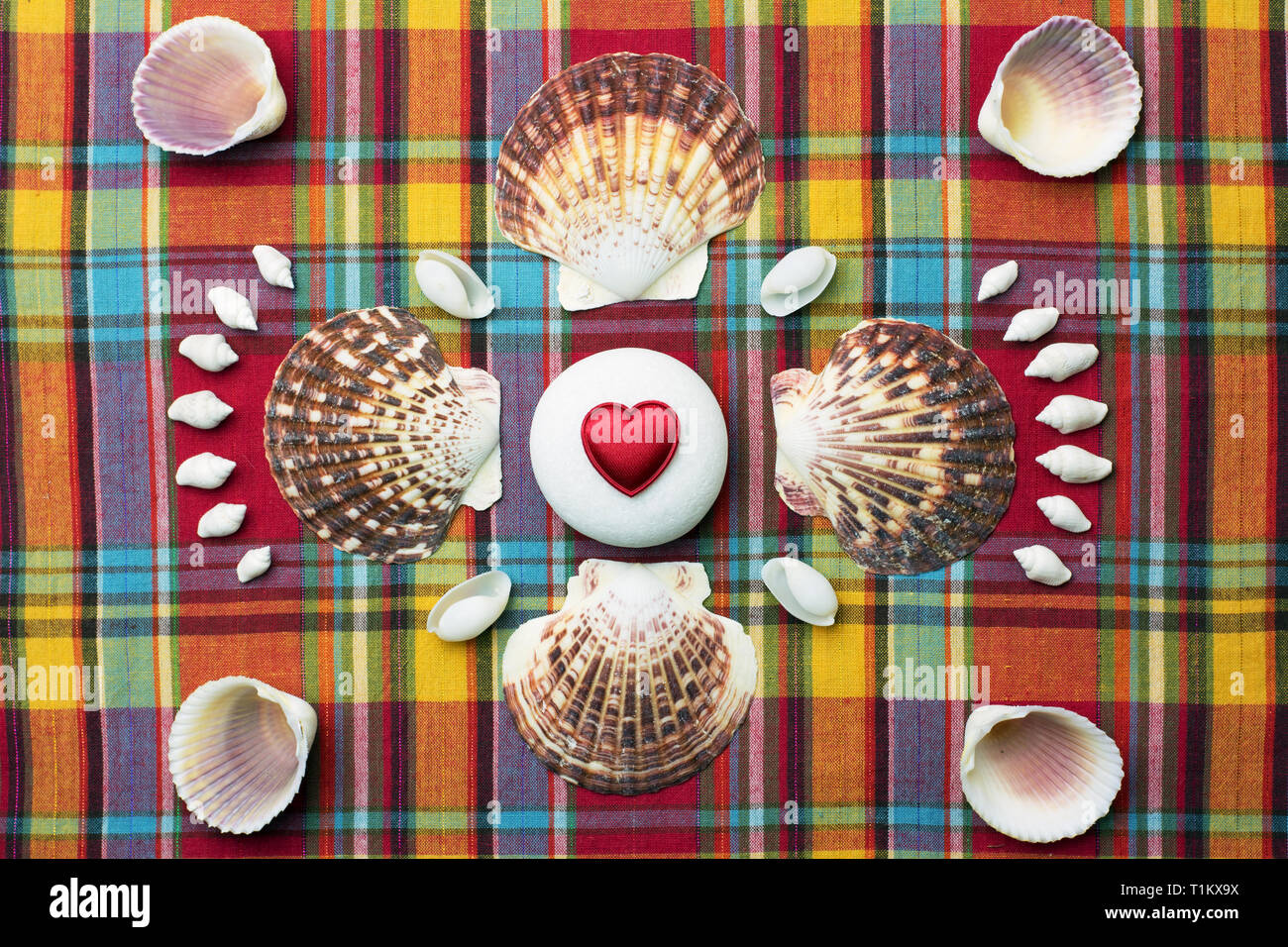 Fan shaped shells hi-res stock photography and images - Alamy