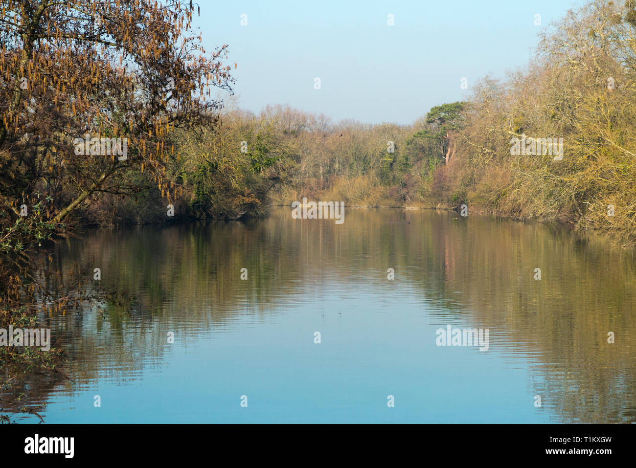 The River Thames and Runnymede meadow / flood plain on a bright winter day. Runnymede, Surrey. UK. (106) Stock Photo