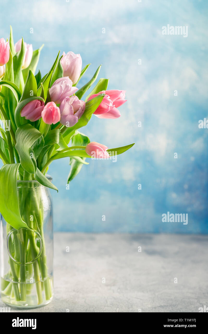 Bouquet of pink and lilac tulips in a glass vase on blue background ...