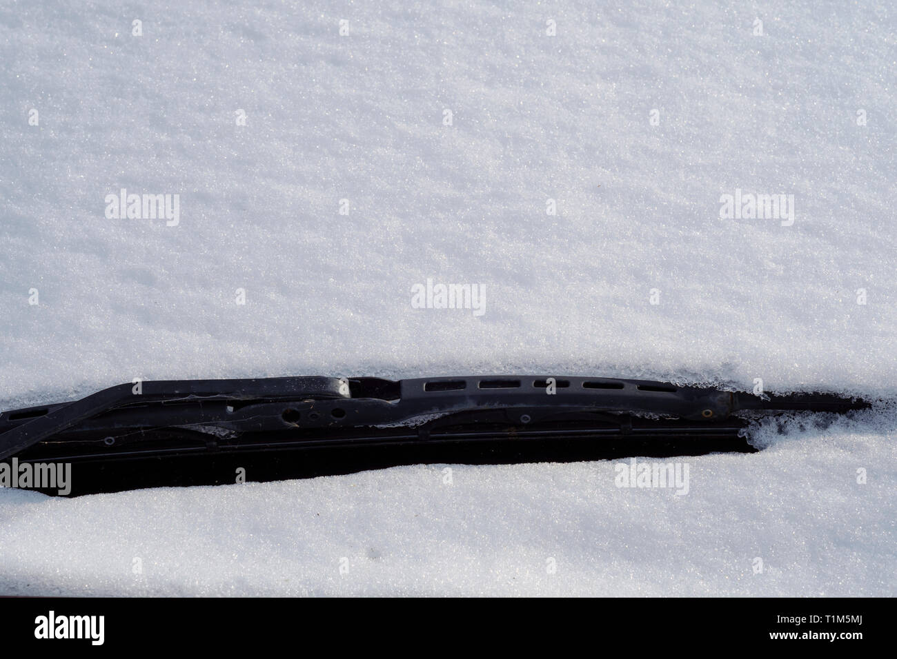 car windscreen wiper covered in snow after snowfall Stock Photo