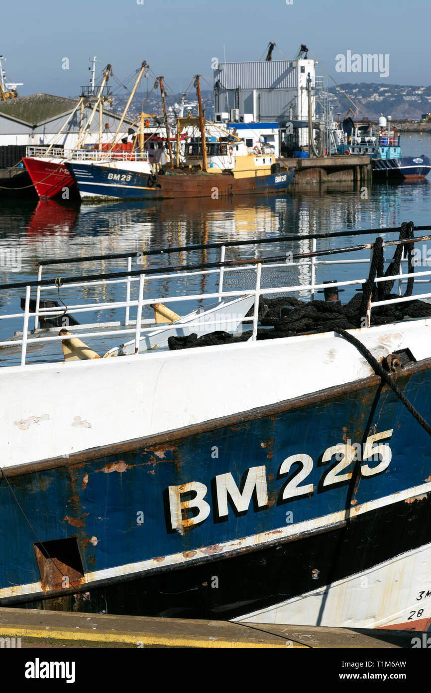 Brixham, Devon, Fishing Industry, Beach, Harbor, Store, Architecture, Business Finance and Industry, Catch of Fish, Coastal Feature, Coastline,BM 225 Stock Photo