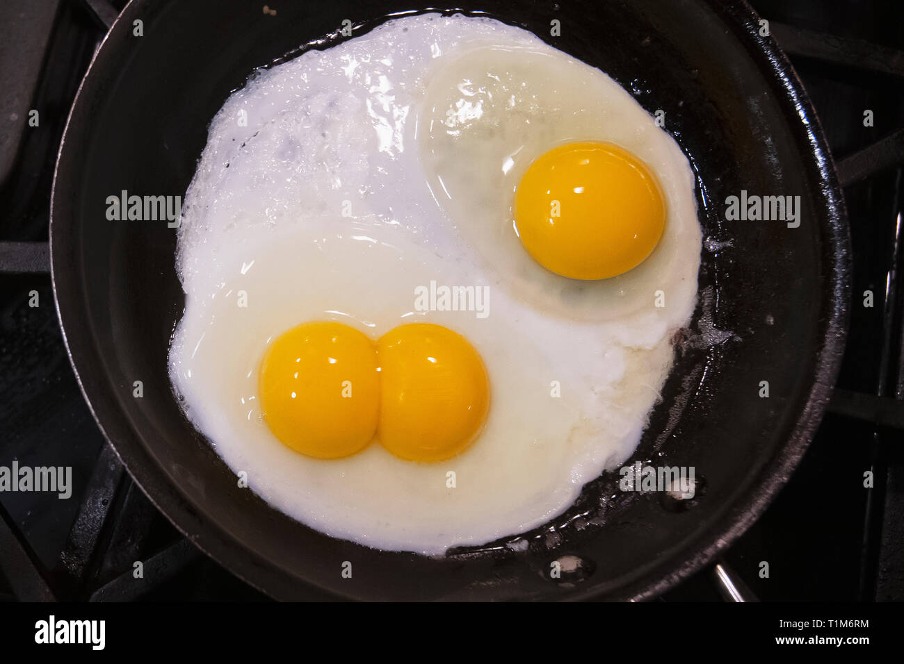 Double or twin egg yolk Stock Photo